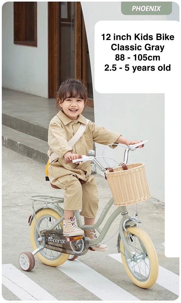 Phoenix 12 inch Classic Gray with training wheels and front basket