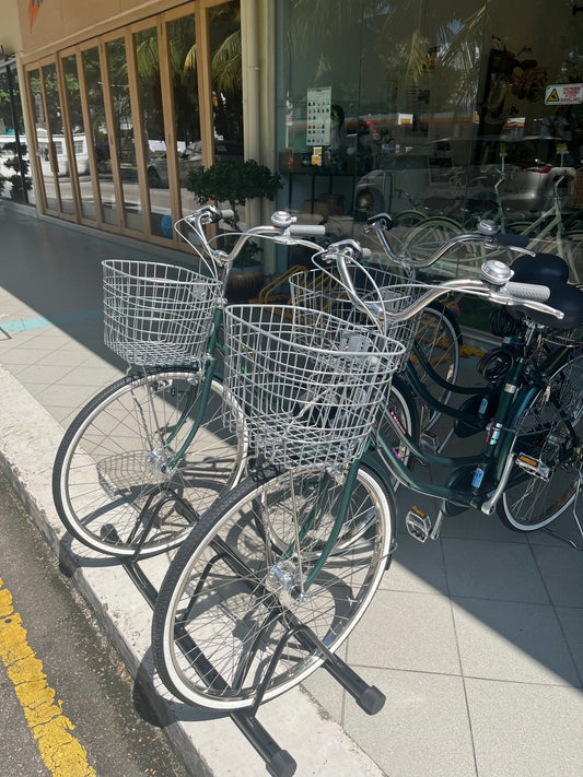 Kawasaki Basket Front Silver Steel