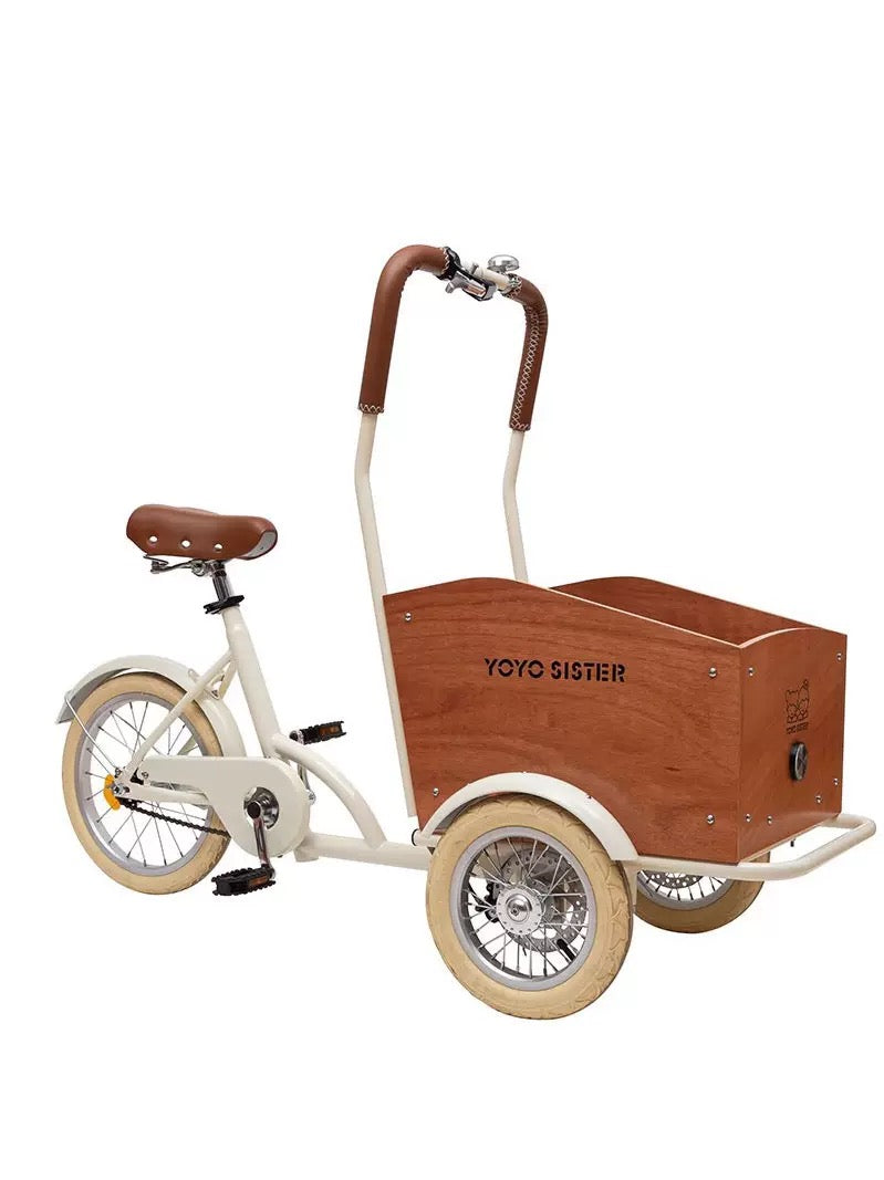 FOOTLOOPS TRICYCLE  SINGLE SPEED PET BIKE