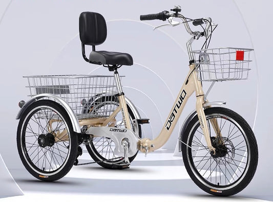 FOREKNOW 20 INCH TRICYCLE GOLD 7 SPEED FOLDABLE (PreOrder)