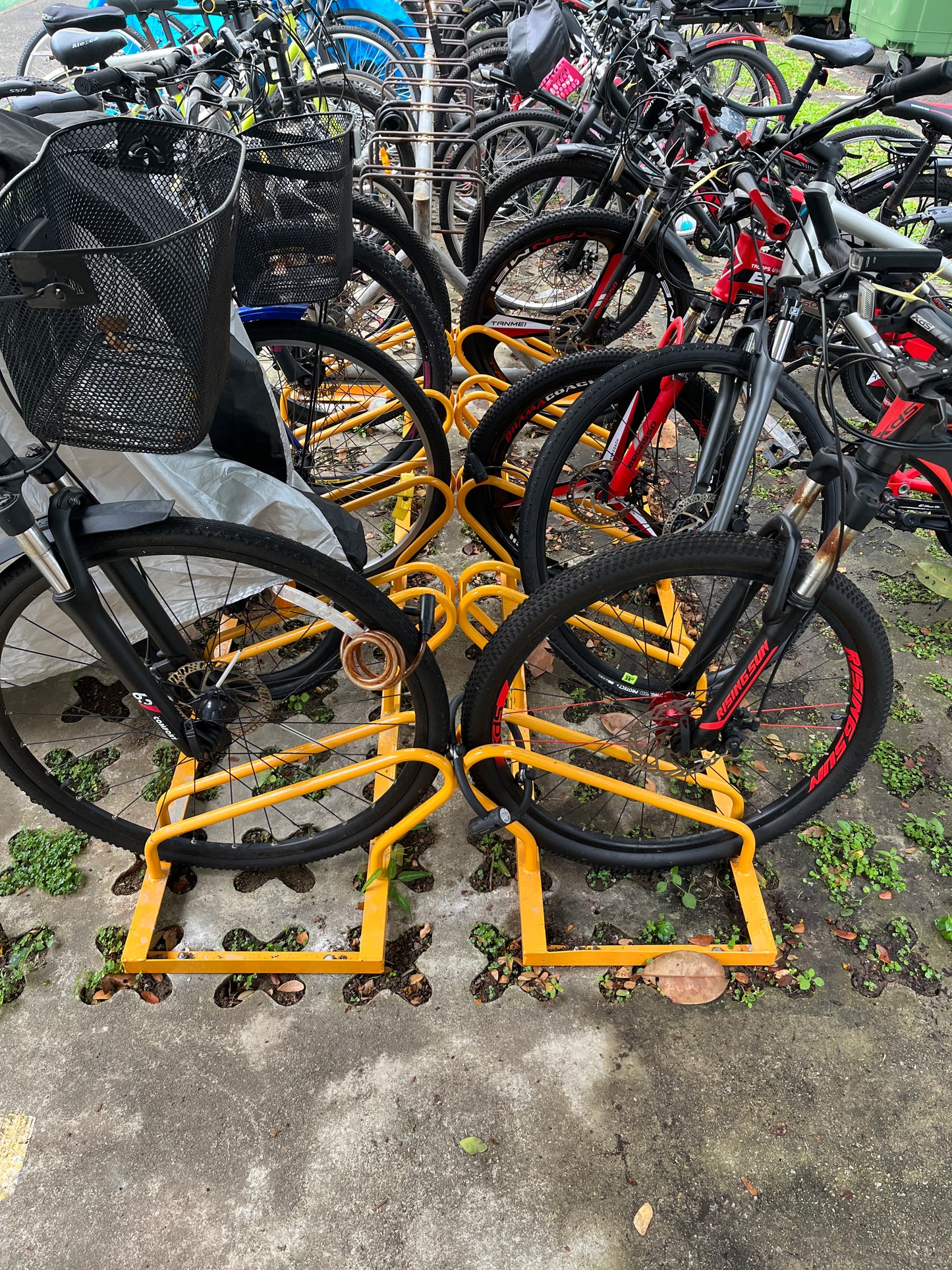 UNIVERSAL BIKE PARKING STAND - 5 BIKES