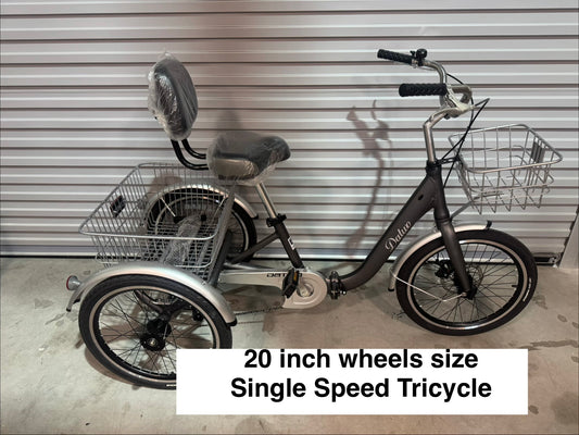 Foreknow 20 Inch Tricycle Gray Single Speed Foldable (preorder)