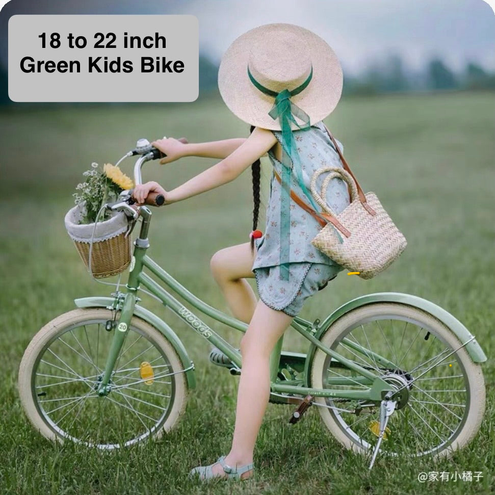 MONTASEN/ WOODS 18 INCH LIGHT GREEN WITH WOVEN BASKET