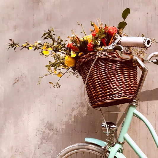 Basket Vintage Front with leather straps