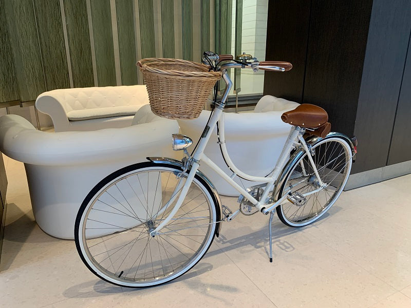 Vintage Gazelle Bicycles Vintage Bicycles White Bikes With Basket