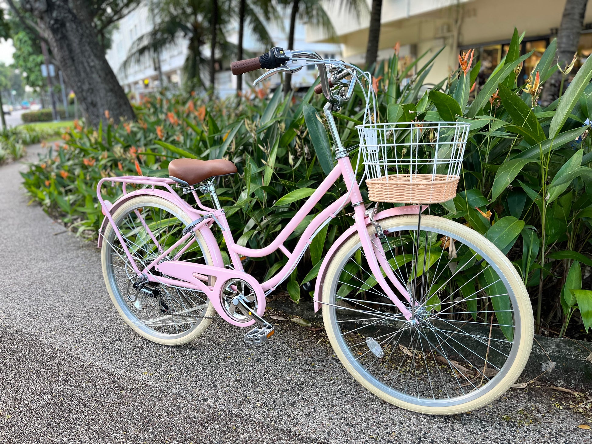 24 inch deals 6 speed bike